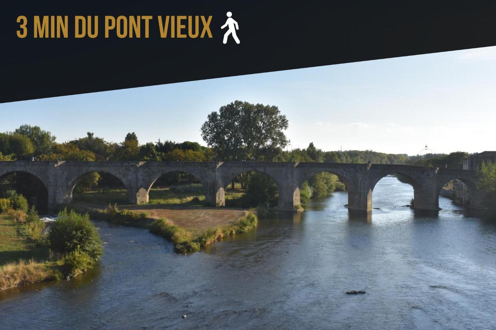 Les Gites De Laure - L'Or Vert, Appartement Avec Vue Sur Le Chateau, Parking Prive, Climatisation, Netflix, A 160 M De La Cite Medievale Carcassonne Eksteriør billede