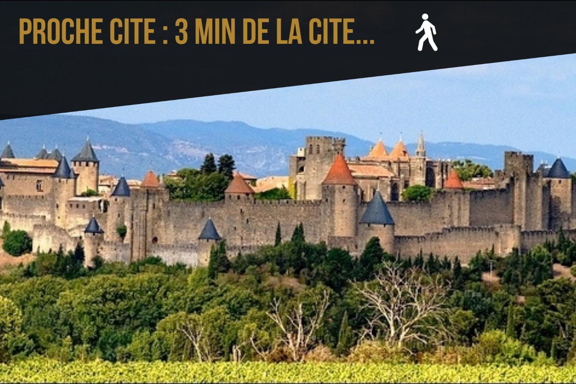 Les Gites De Laure - L'Or Vert, Appartement Avec Vue Sur Le Chateau, Parking Prive, Climatisation, Netflix, A 160 M De La Cite Medievale Carcassonne Eksteriør billede